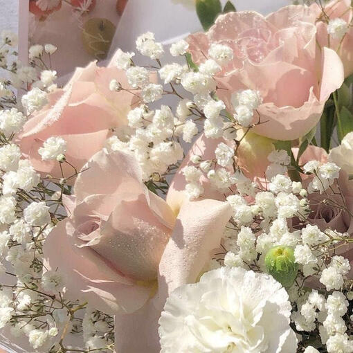 FLOWER BLOOOMS